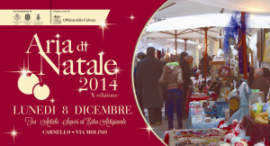 aria 2014 flyer 1 fronte